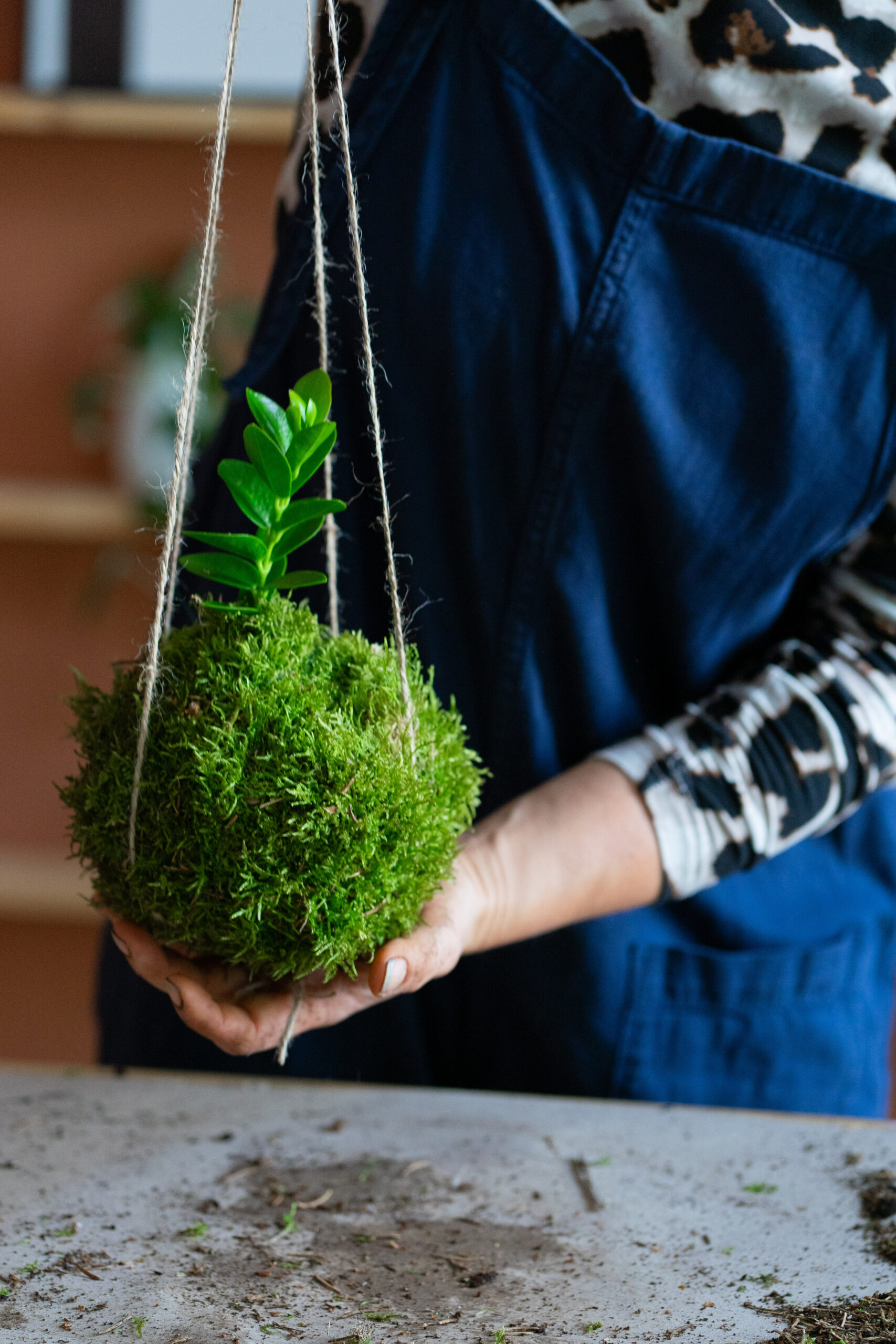 Kokedama Planthanger DIY Anleitung Moosball Tuturial Pflanzen Kokodama