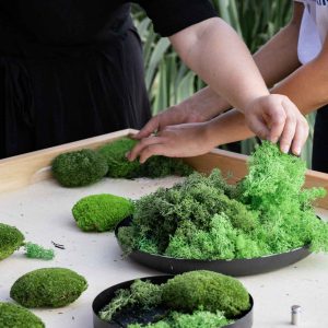 Mooswand selber machen Workshop Leipzig FLAMINGOCAT